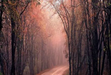 解放者客场输球，摆脱降级区无望