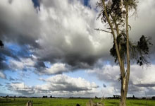 客场鏖战：愤怒的庆祝点燃球场