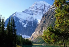 上海绿地申花横扫对手，获胜