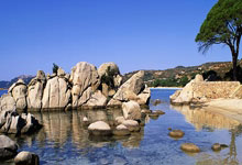 河南建业队员驰骋赛场，夺得胜利